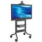 flat panel floor stand