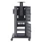 multimedia cart