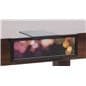 Overhanging 11” x 3.5" Shelf Talker Stand