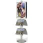 FORTE Poster Literature Display: (2) 22" x 28" Posters And (4) Literature Holders