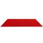 20’ rollable event runner 