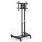 Conference TV Cart with Height Adjustments