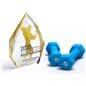 Diamond cut business trophy with full color printing