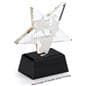 Glass star service award with double sided printing