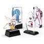 Glass star service award with three additional styles offered