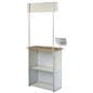 Promotional Counter with iPad Mount
