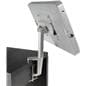 Promotional Counter with iPad Mount