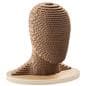 Cardboard mannequin head with eco-friendly poplar wood base 