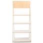 White Ladder Shelves with Multi Tier Feature 