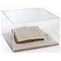 Presentation-Quality Tabletop Display Case on Countertop
