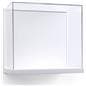 15.5" Wide Museum Style Wall Vitrine