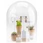 Glass display cloche with lift-off top