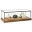 Wood Glass Tabletop Keepsake Display Case | Black Copper Piping ...