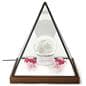 Lighted pyramid glass box with antique finish