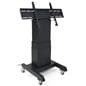 Tilting mobile flat panel stand with landscape orientation