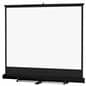 Portable Projection Screen