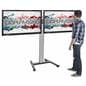 Dual Screen Floor Stand for Trade Shows