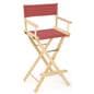 Director's Chair