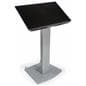 Moveable Vesa Floor Display Stand, 2 Brackets Included