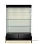Light up display case  with secure split-storage cabinet