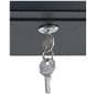Weather-Resistant TV Box with Keyed Locks