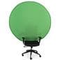 Portable chair mounted green screen with double-sided color