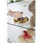 Display Case