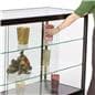 Jewelry Counters That Can Hold Expensive Valuables