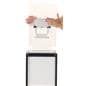 Acrylic display pedestal with LED lights and 17" tall acrylic top