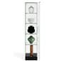 Tower display with hinged door