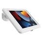 Desktop iPad holder with exposed home screen