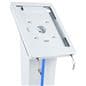 Edge-lit iPad kiosk with locking enclosure