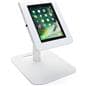 Interactive iPad station with custom graphics has adjustable orientation options