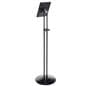 iPad Mini Kiosk Enclosure 