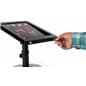 iPad Pro POS stand with dual locking anti-theft enclosure