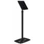 Locking iPad Pro Stand with Exposed Home Button