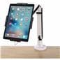 iPad Desk Mount for Pro Version