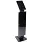 Promotional iPad Pro Kiosk with Poster Holder