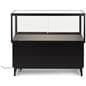 Retail store display case with black frame