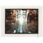 Store Window Lightboxes 