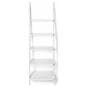 Leaning Ladder Shelves with Pine Construction