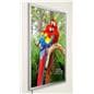 lightbox displays