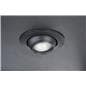 Modern LED Display Cabinet with 3 Ceiling Lights
