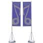 promotion flags