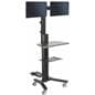 Anodized Multi-Monitor Standing Computer Cart