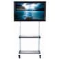 110 Lbs. Max Adjustable TV Cart