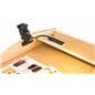 Clamping podium light