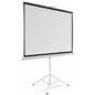 90" Portable Tripod Projector Screen with PVC Build