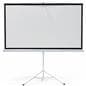 90" Portable Tripod Projector Screen Matte White