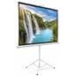 90" Portable Tripod Projector Screen with 160° Viewing Angle